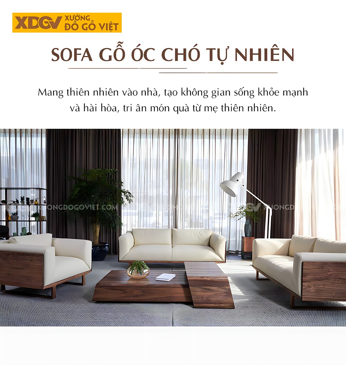 Bàn Ghế Gỗ Óc Chó Phòng Khách Bọc Da Kiểu Ý