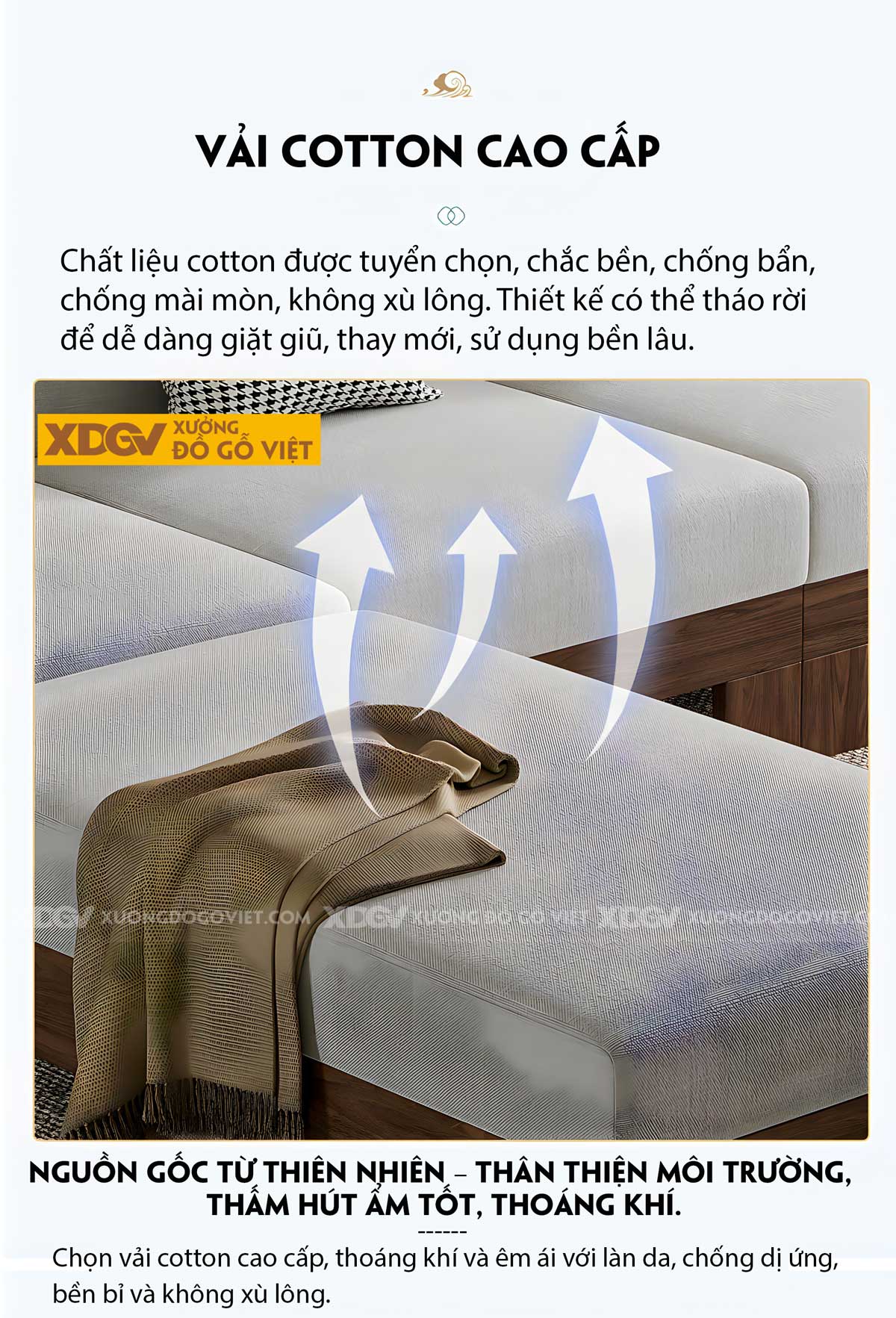 Bàn Ghế Óc Chó Tay Bo Lưng Nan Thưa Hiện Đại Mới Đẹp