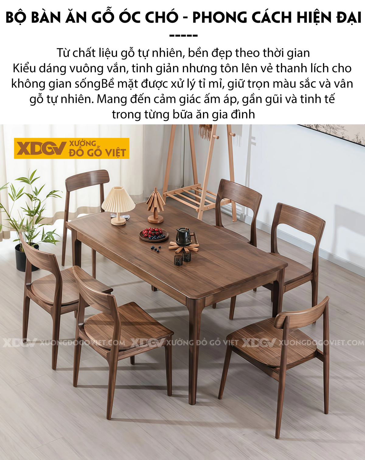 Bộ Bàn Ăn Gỗ Óc Chó 4 Ghế Hiện Đại Thiết Kế Bo Cong Ôm Trọn