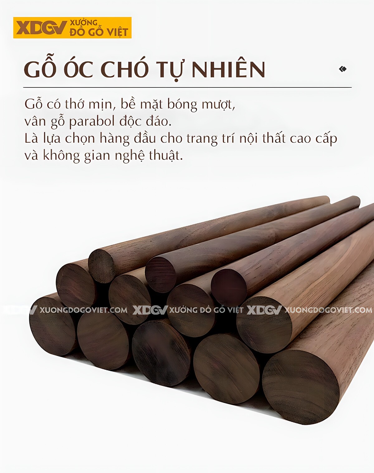 Bộ Bàn Ghế Gỗ Óc Chó Phong Cách Á Đông Cho Không Gian Trà Thất