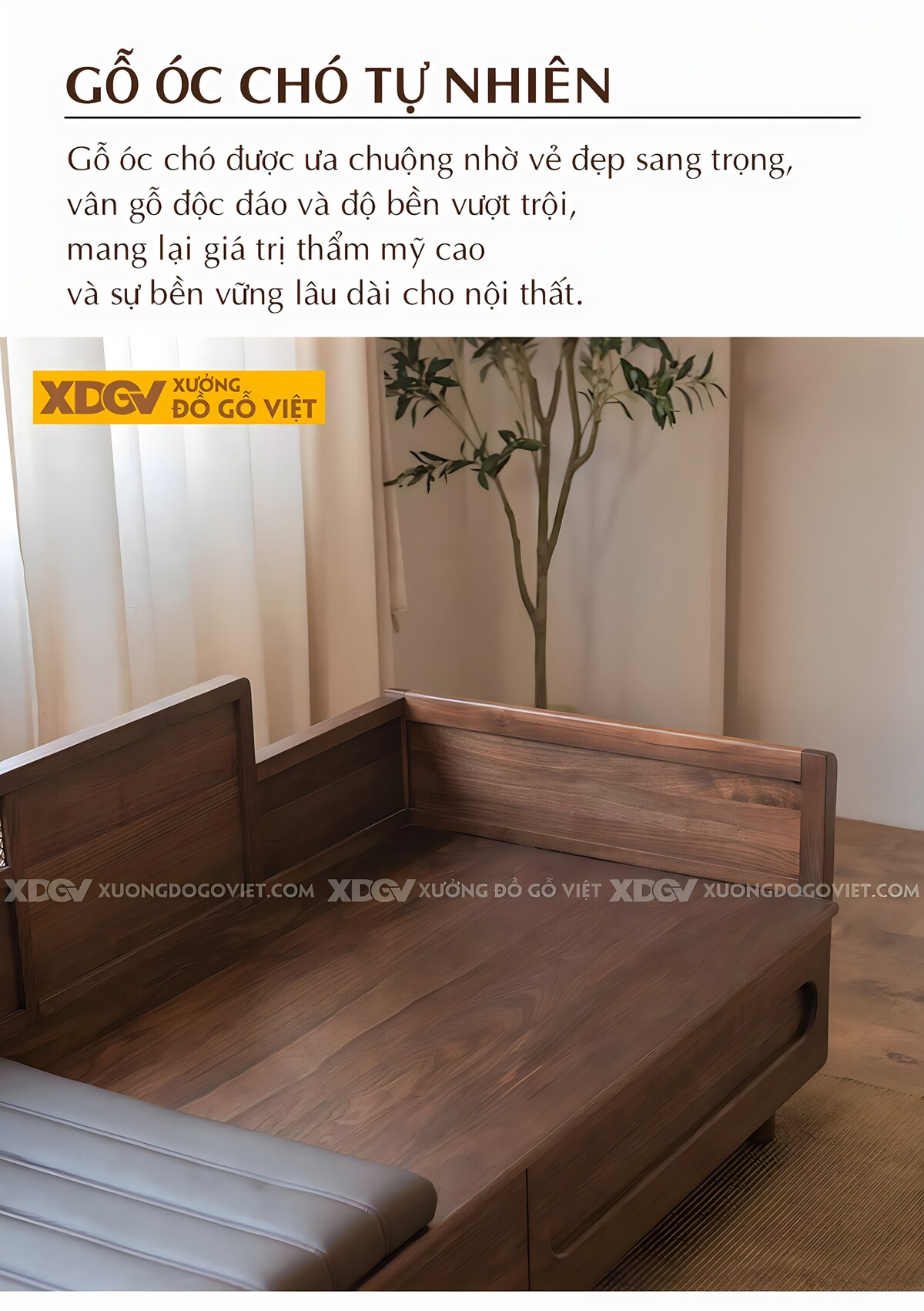 Bộ Ghế Sofa Gỗ Óc Chó Dáng Ghế Giường La Hán Tân Cổ Điển