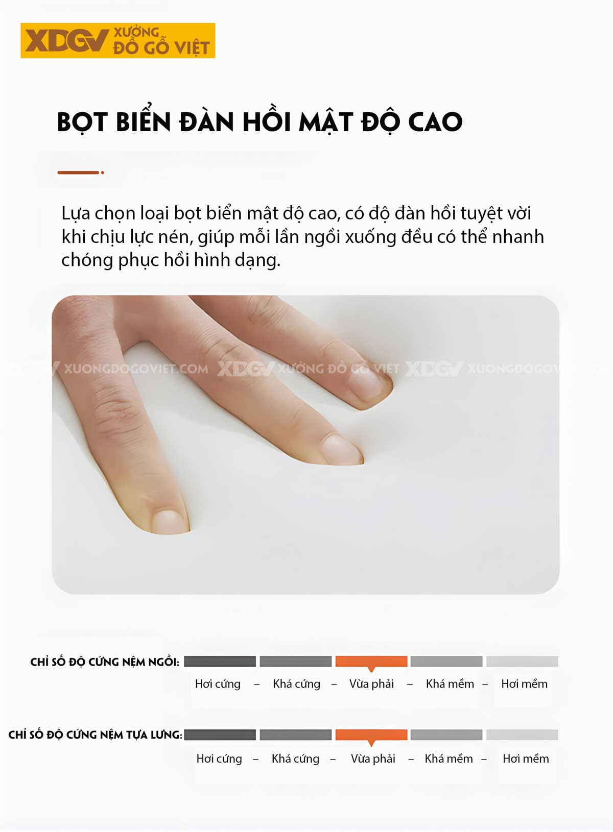 Bộ Sofa Gỗ Sồi Phòng Khách Japandi Nệm Cao Cấp Bao Tay Tựa