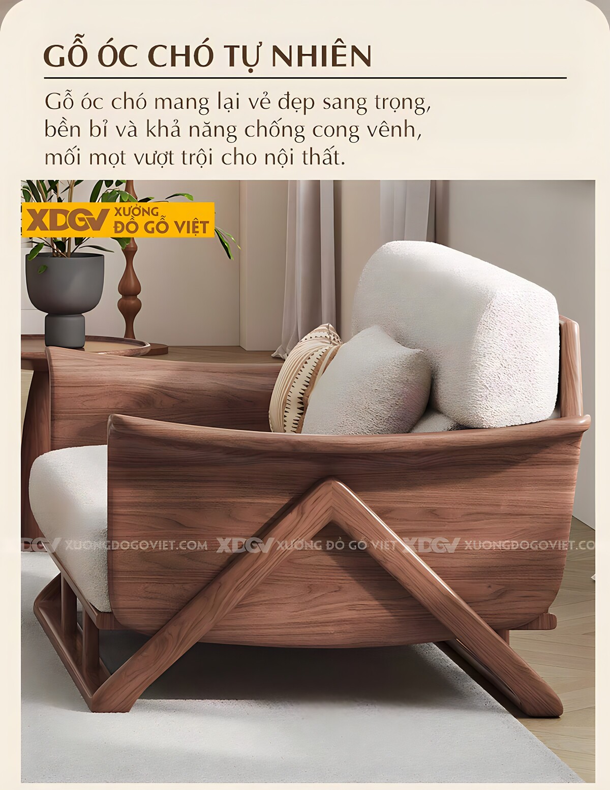 Bộ Sofa Óc Chó Thiết Kế Hữu Cơ Với Những Đường Cong Mềm Mại