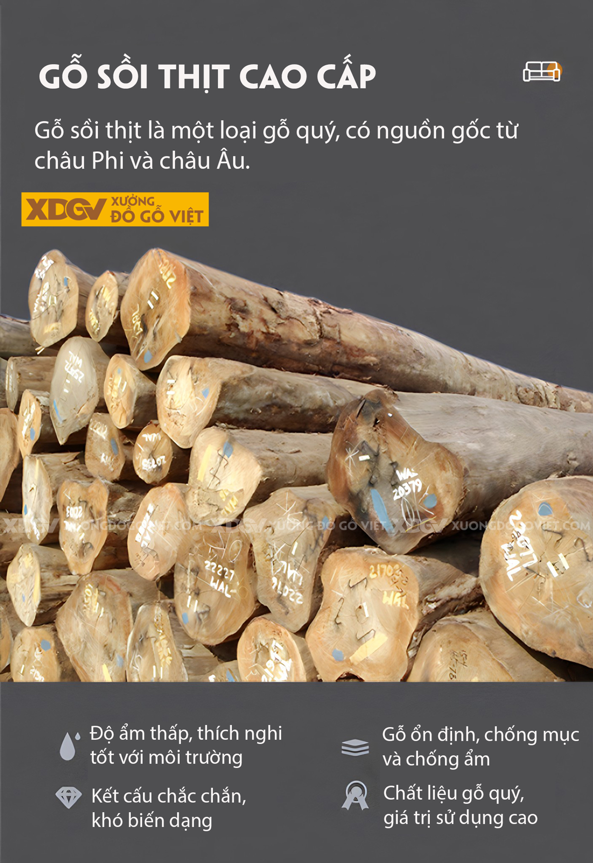 Bộ Sofa Phòng Khách Gỗ Sồi Dạng Khung Ghép Nối Liền Mạch