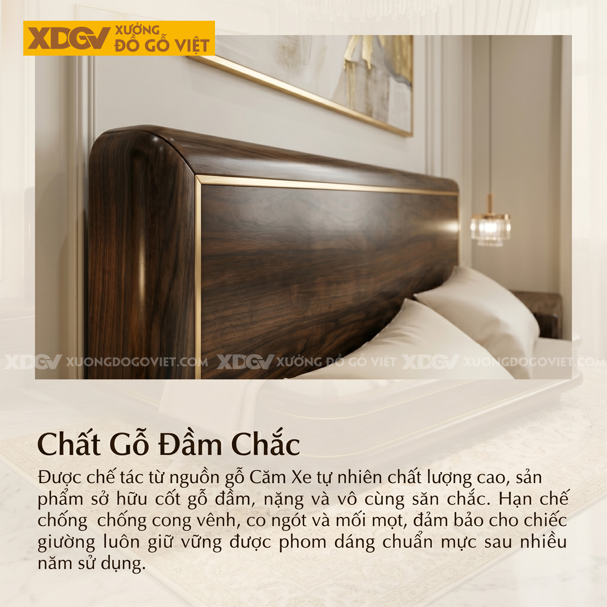 Giường Ngủ Gỗ Căm Xe Phối Viền Kim Thiết Kế Ôm Bo Sang Trọng