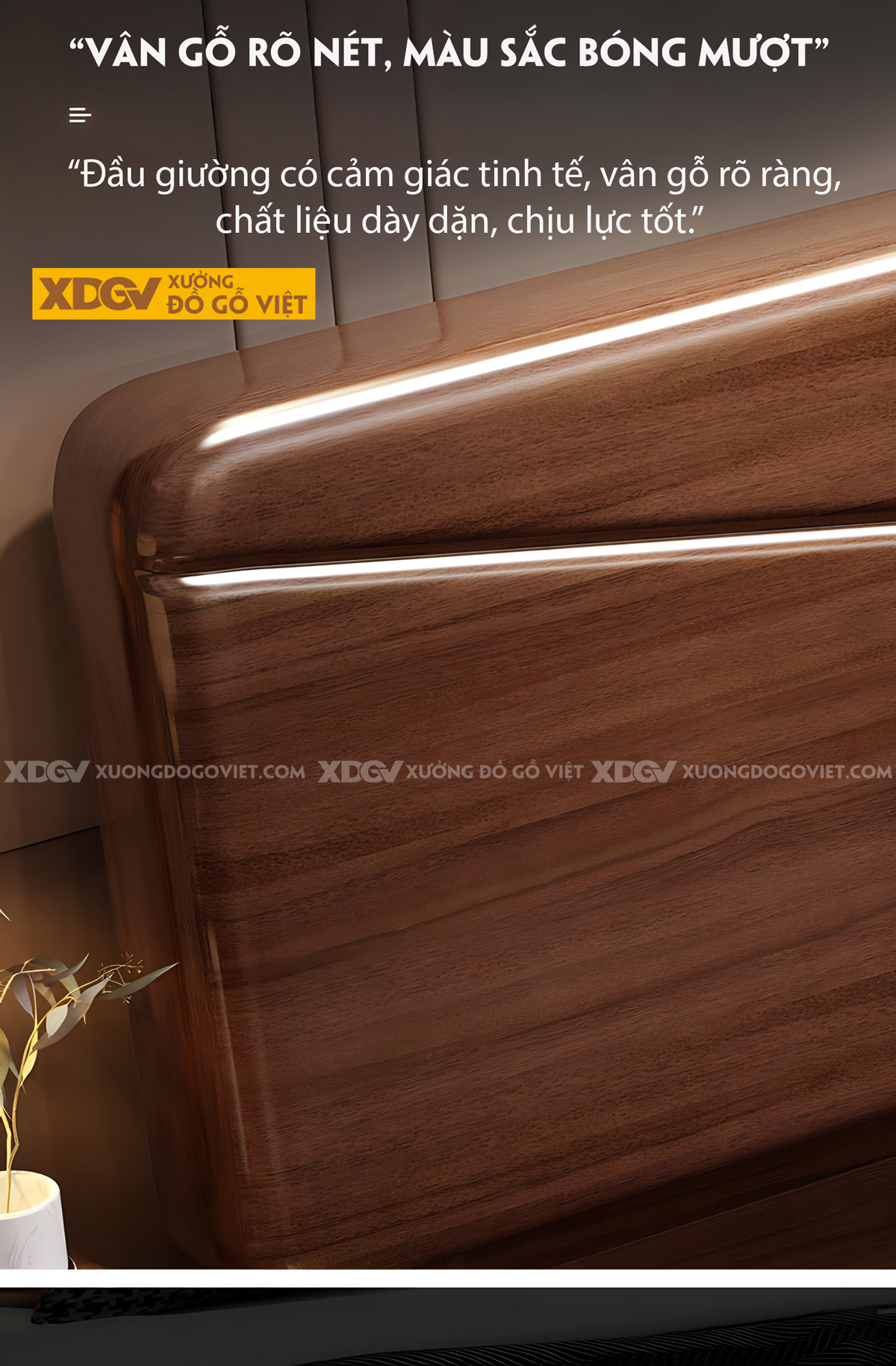 Giường Ngủ Gỗ Lim Hiện Đại Đầu Kẻ Chỉ Chữ V Rãnh Dọc Giữa