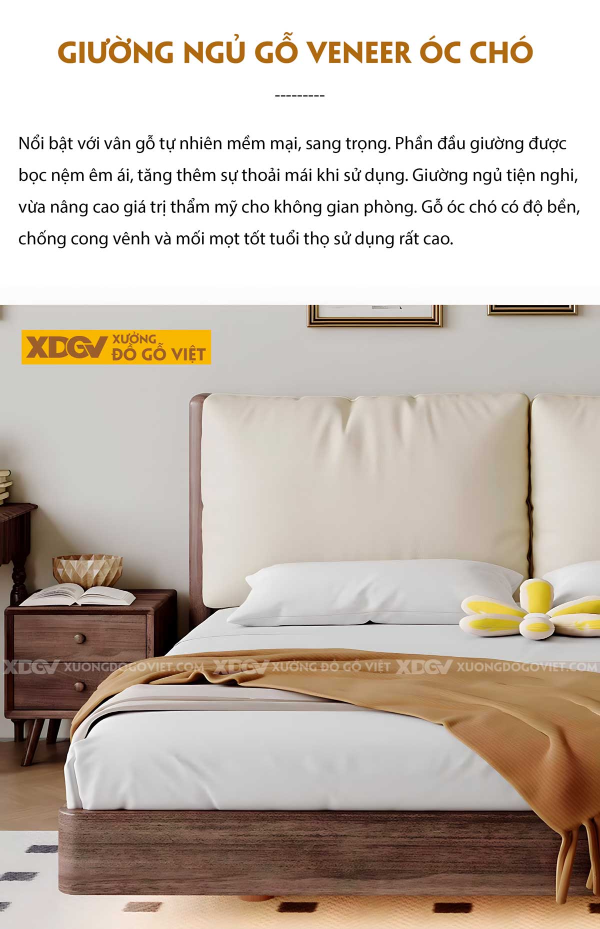 Giường Ngủ Gỗ Veneer Óc Chó Chân Trụ Tròn Khuất Lùi Độc Đáo