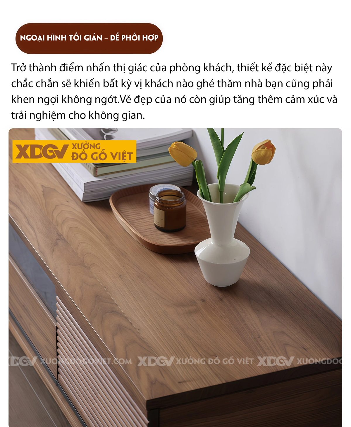 Kệ Để Tivi Gỗ Óc Chó Tủ Trung Tâm Kết Hợp Phối Kính Hiện Đại