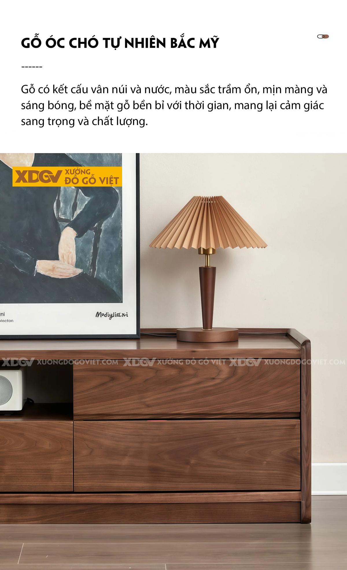 Kệ Tivi Phòng Khách Gỗ Óc Chó Tối Giản Nhiều Ngăn Chứa