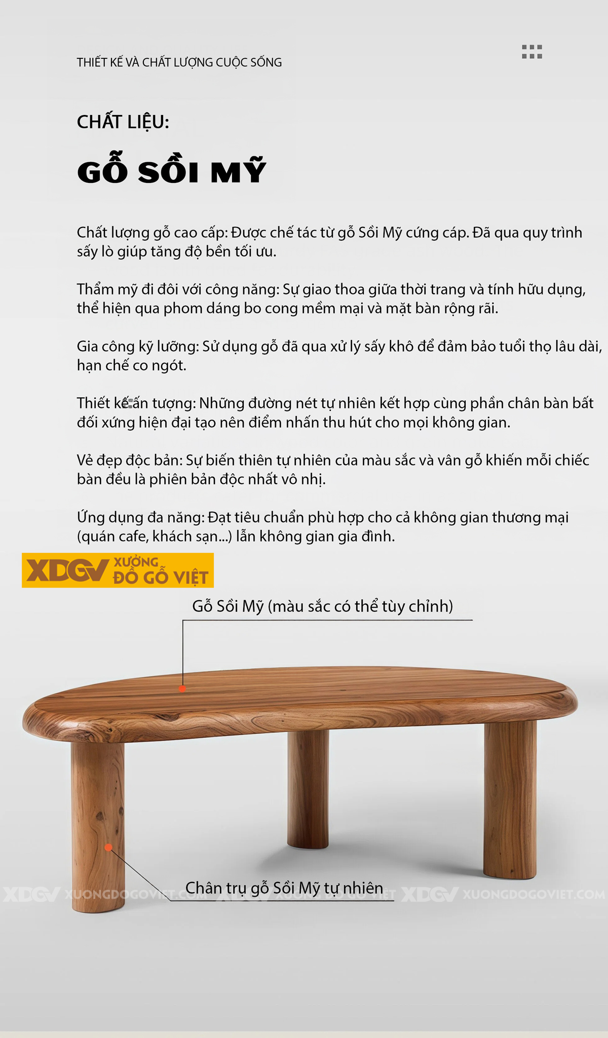 Mẫu Bàn Sofa Phòng Khách Gỗ Sồi Chân Cao Tích Hợp Ngăn Kéo