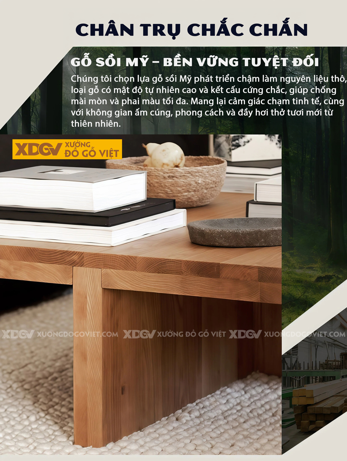 Mẫu Bàn Trà Sofa Phòng Khách Hiện Đại Gỗ Sồi Thiết Kế 2 Chân