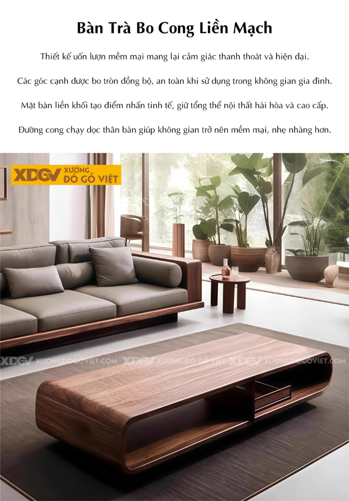 Mẫu Bộ Sofa Gỗ Óc Chó Tay Hộp Vuông Cuộn Tích Hợp Kệ Độc Đáo