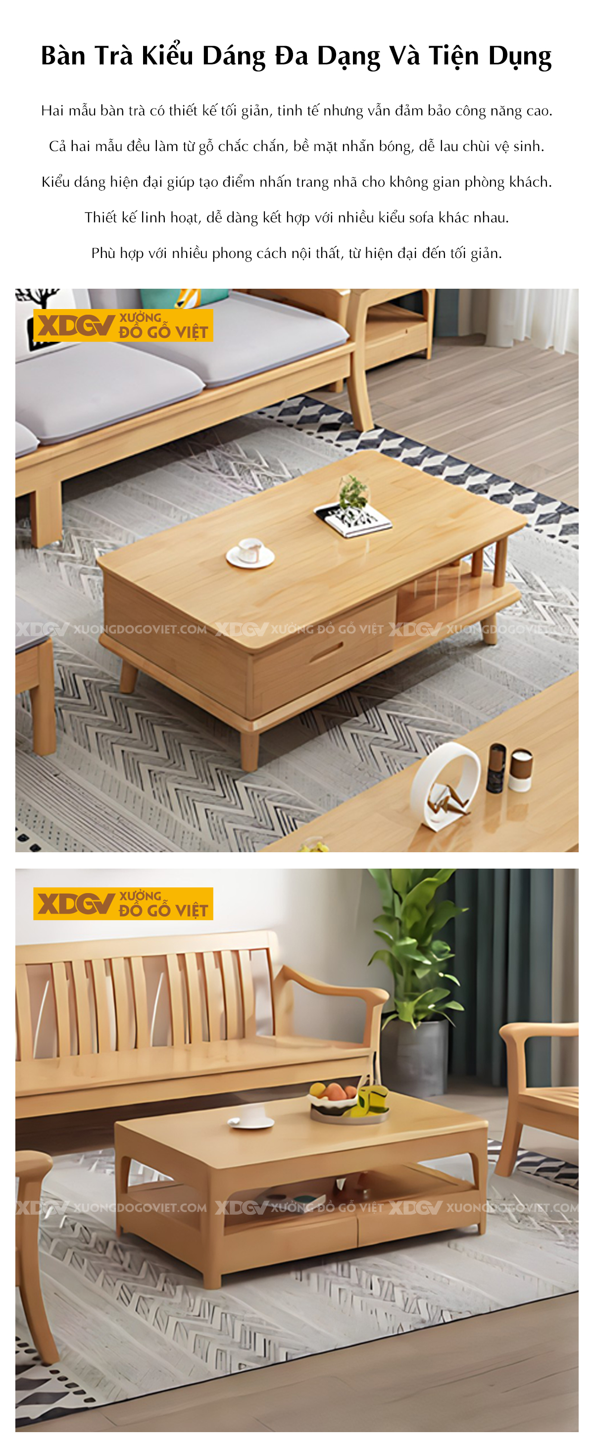 Mẫu Ghế Sofa Cao Su Hiện Đại Khung Gỗ Uốn Lượn Độc Đáo