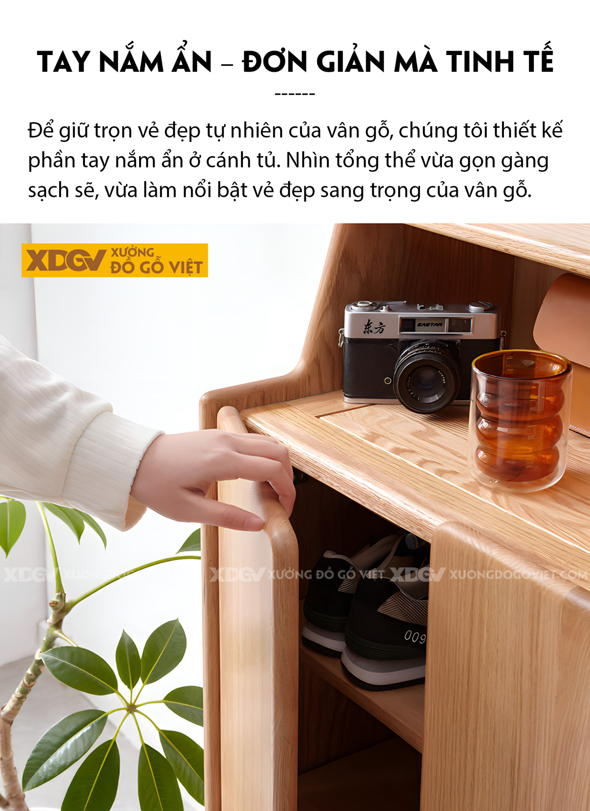 Mẫu Tủ Giày Mini Gỗ Sồi Tự Nhiên 2 Cánh 4 Tầng Có Kệ Trên