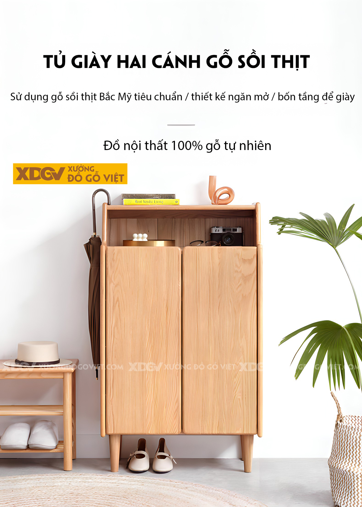 Mẫu Tủ Giày Mini Gỗ Sồi Tự Nhiên 2 Cánh 4 Tầng Có Kệ Trên