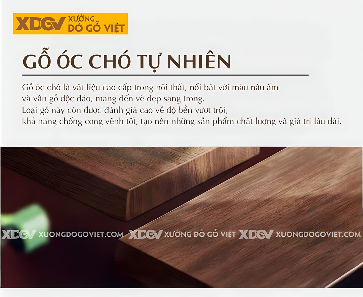 Sofa Gỗ Óc Chó Đẹp Tân Cổ Điển Trung Hoa