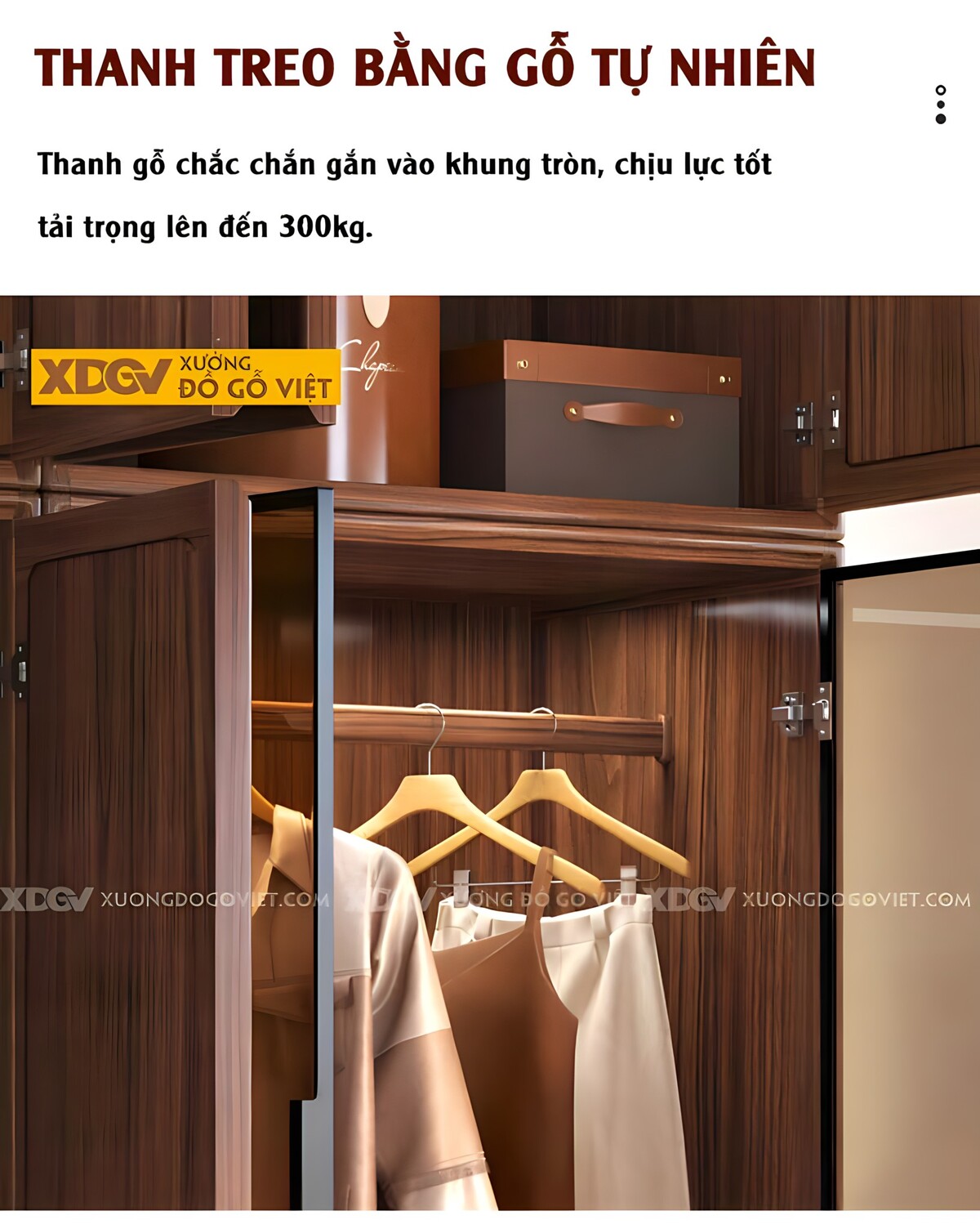 Tủ Áo Óc Chó Hiện Đại Cửa Gỗ Lùa Và Cửa Kính Khung Nhôm Đen