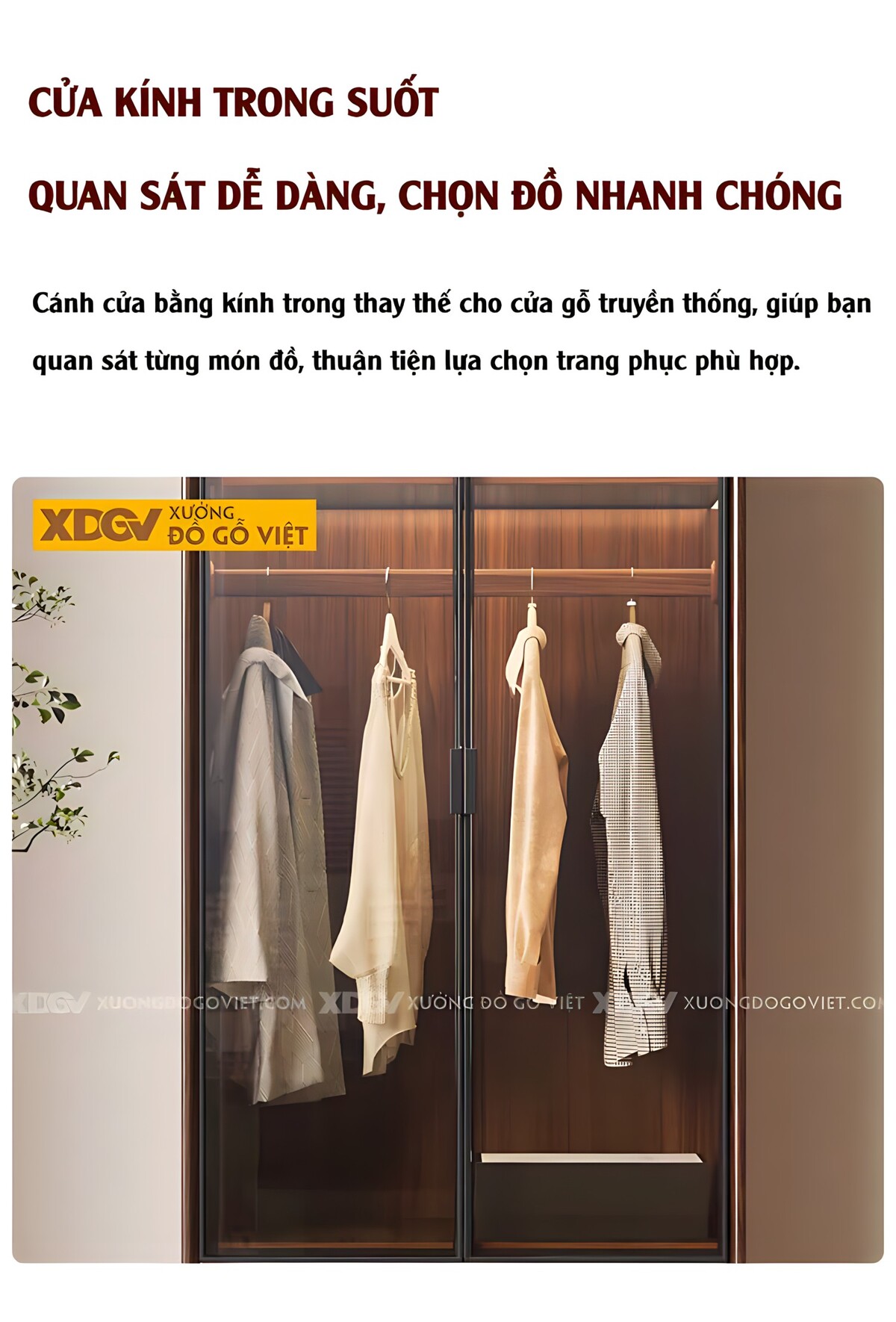 Tủ Áo Veneer Óc Chó 2 Cửa Lùa Khung Pano 2 Cửa Kính Trắng