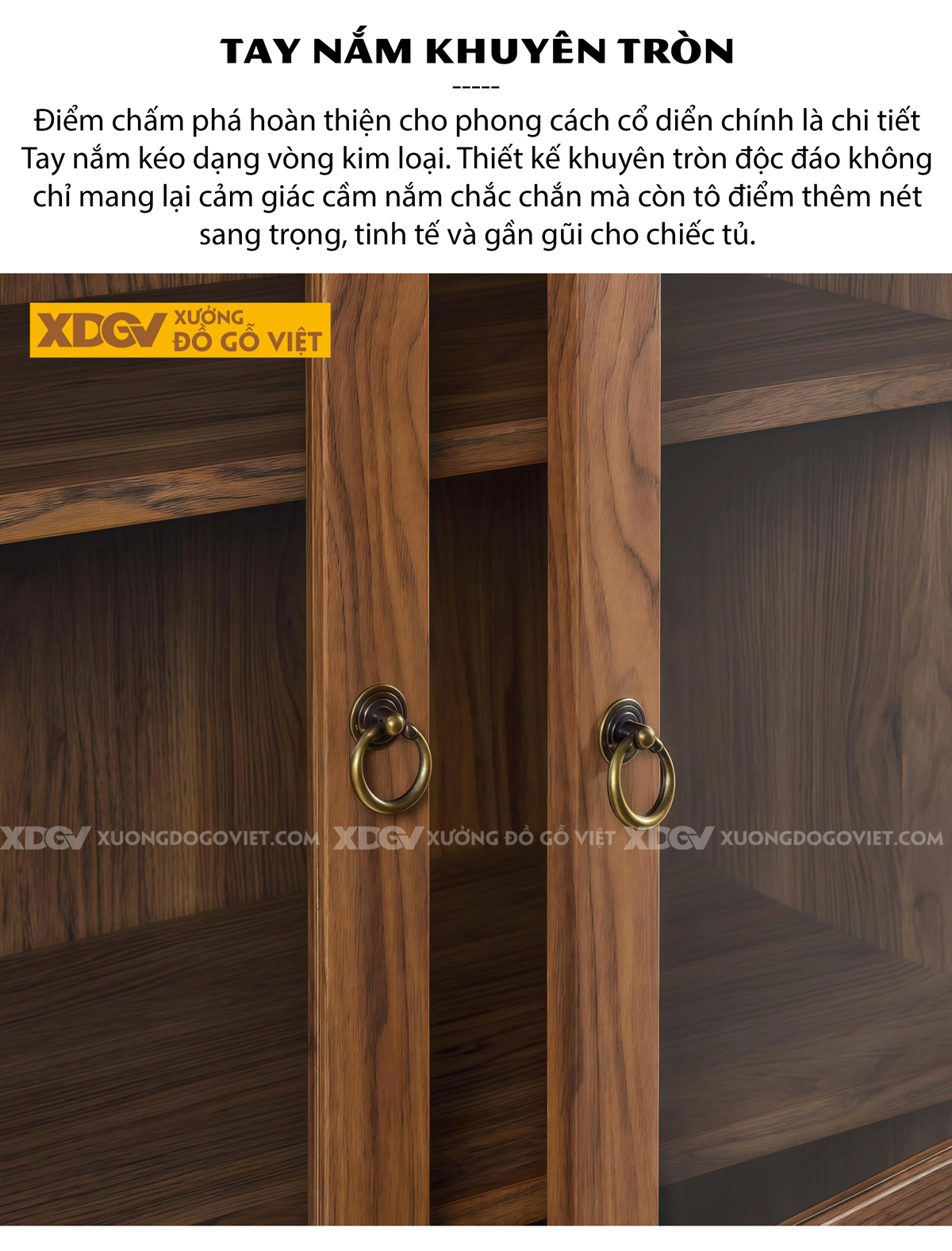 Tủ Để Sách Gỗ Óc Chó Phối Cánh Kính Kèm Tay Nắm Âm Tinh Tế