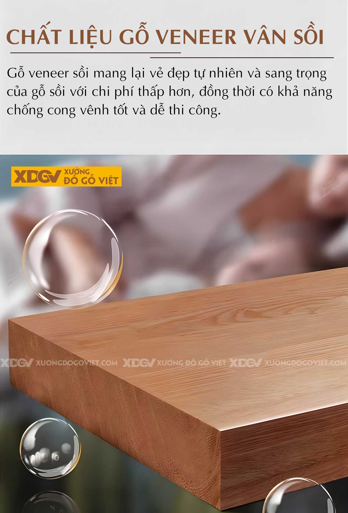 Tủ Quần Áo Gỗ Veneer Sồi 6 Cánh Áp Trần Tích Hợp 3 Ngăn Kéo