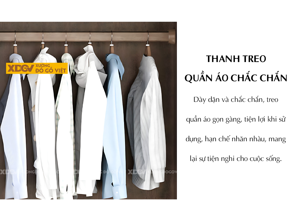Tủ Quần Áo Lim Á Đông Đương Đại 2 Cánh Lớn Cửa Lùa Họa Tiết