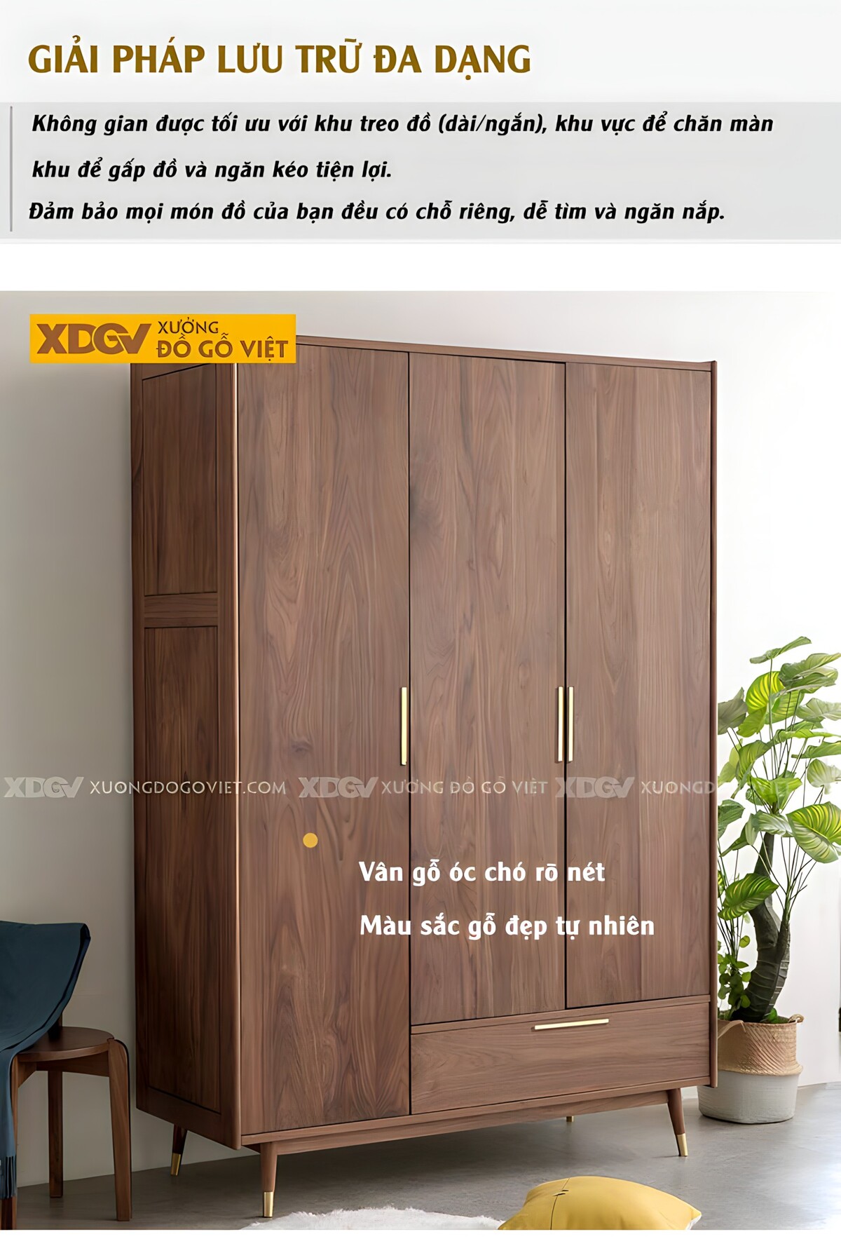 Tủ Quần Áo Óc Chó Tự Nhiên 3 Cánh Chân Cao Bọc Kim Loại Vàng