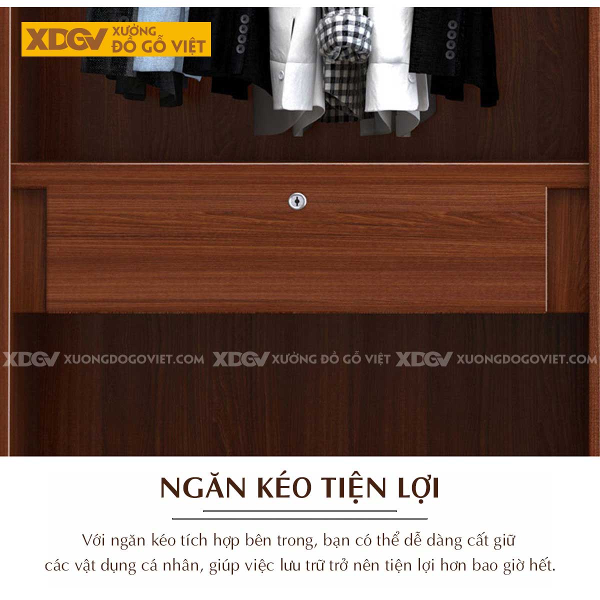 Tủ Treo Quần Áo Gỗ Lim Dạng Hộp Cánh Pano Kẻ Rãnh Đẹp