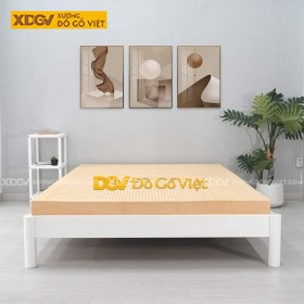 Nệm Cao Su Mới X279